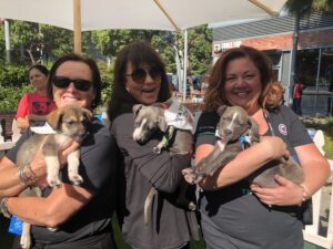 Three women hold adorable puppies, smiling under a sunny outdoor setting. The scene is lively and cheerful.