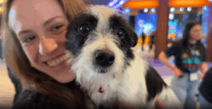 Taste Test: The Best Office Snacks Ranked 4 Taste test: the best office snacks ranked 3