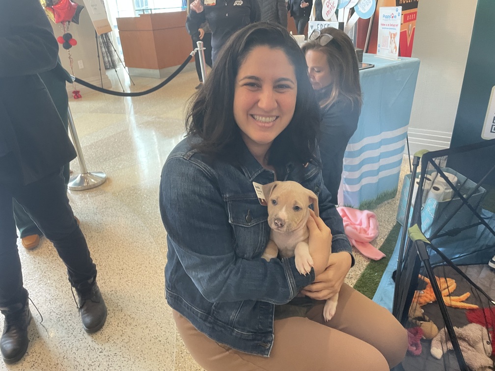 Team building in washington dc event