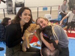 Employer wellness programs that make work paw-some 2