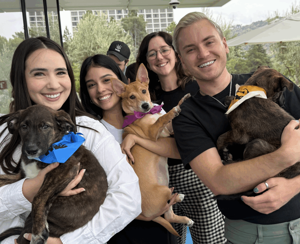 employer wellness programs