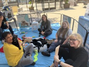 Do you know your cuddle style? Take the puppy personality quiz! 3