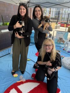 Do you know your cuddle style? Take the puppy personality quiz! 1