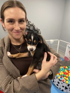 Festive tails: how office puppy parties spark holiday joy and giving 1
