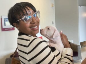 Take a paws: the five minute office slump reset 3