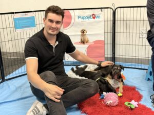 What If A Puppy Was The Office Manager? 5 Service project activities las vegas