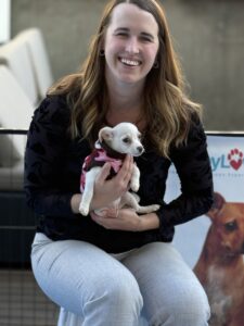 Best in show: highlights from the year 2