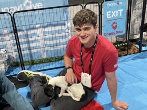 What If A Puppy Was The Office Manager? 3 What if a puppy was the office manager? 3