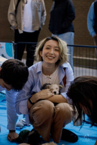 What puppies can teach us about office life 2