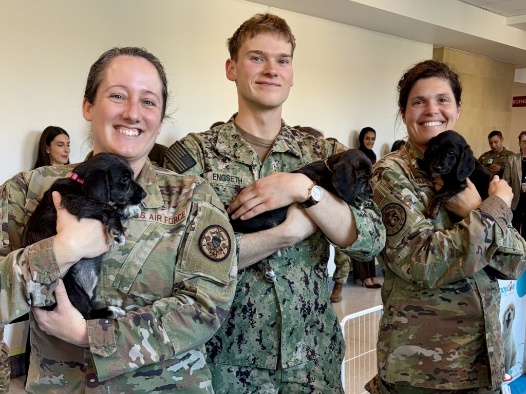 A Small Pause For Joy At The Pentagon 45 A small pause for joy at the pentagon 5