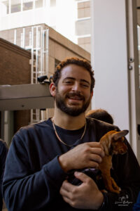 What If A Puppy Was The Office Manager? 2 What if a puppy was the office manager? 2