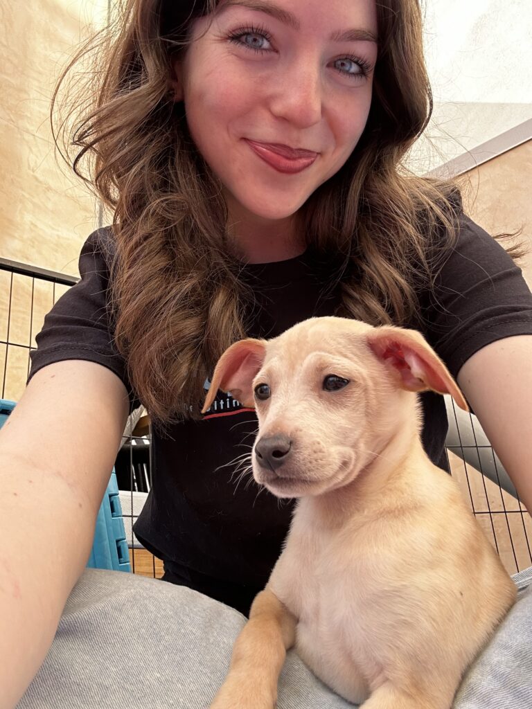 Puppy Booths That Drive Traffic at Trade Expos | Puppy Love