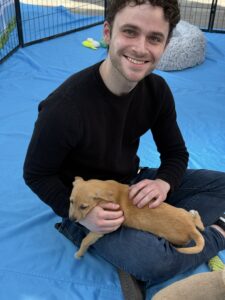 Puppy booths = traffic magnets: how to steal the show at your next trade expo 2