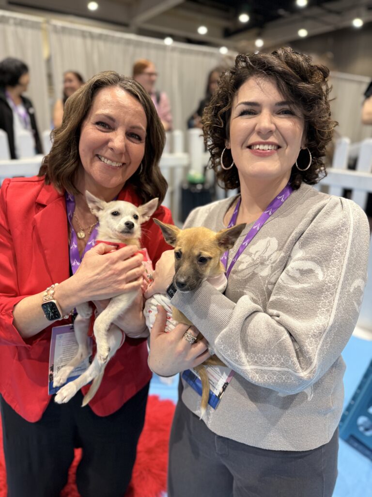 The science of puppy therapy: how petting puppies reduces cortisol and creates smiles 1