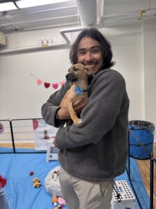 The science of puppy therapy: how petting puppies reduces cortisol and creates smiles 2