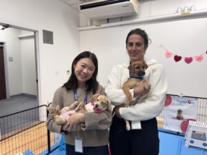 Employee appreciation with a little extra wag 4