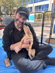 World health day at work (with a little extra wag! ) 3