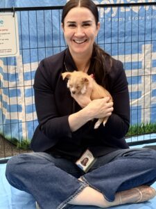 Create a puppy wellness space at your office that actually works 4