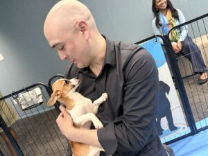 Create a puppy wellness space at your office that actually works 3