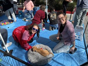 World health day at work (with a little extra wag! ) 4