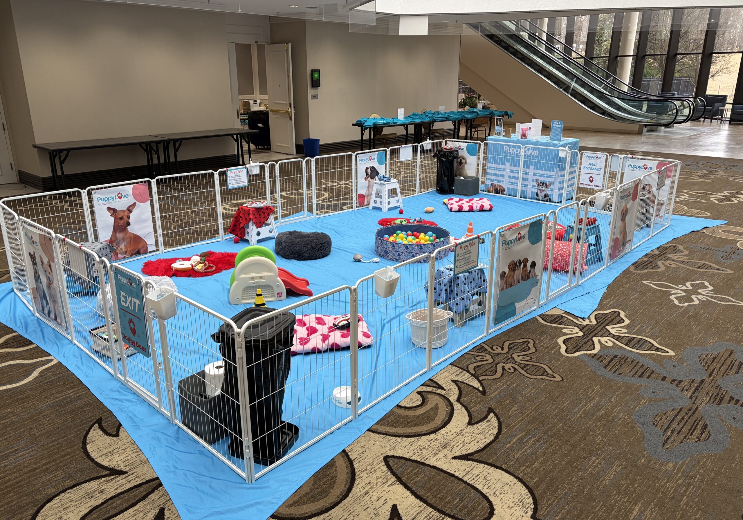 Puppy love corporate puppy play area with toys and fencing.